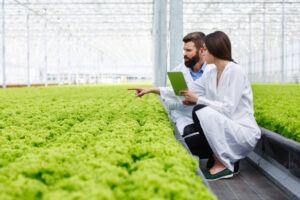 Normativa de Conservación de los Alimentos y Aplicación a los Equipos de Control