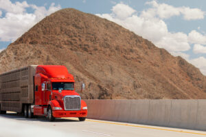 Transporte de Mercancías por Carretera